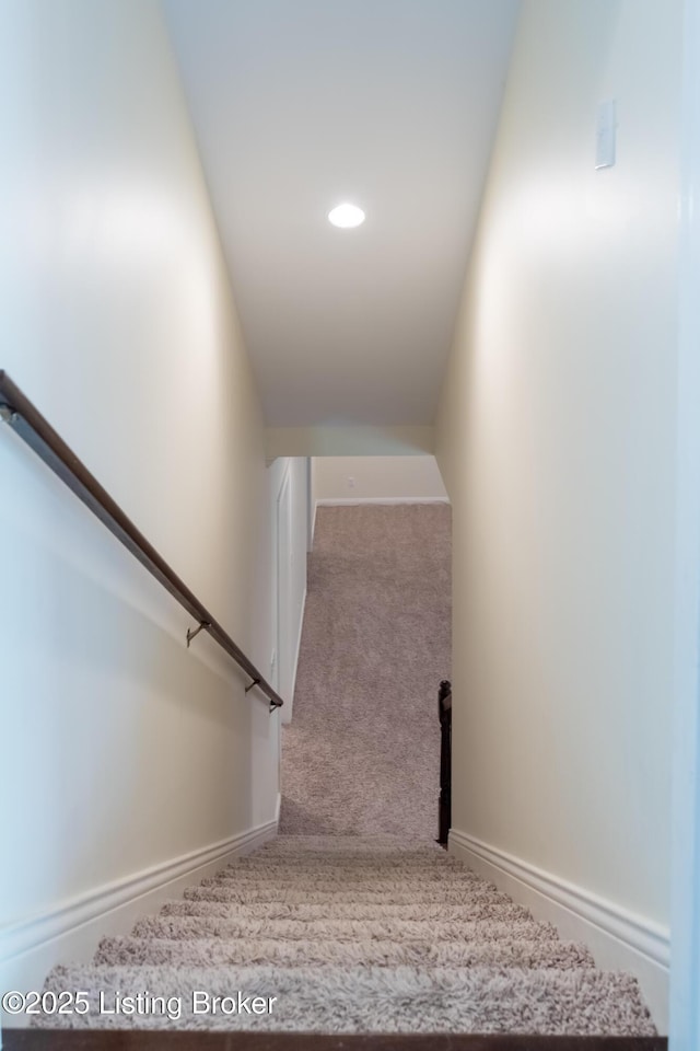 staircase featuring carpet flooring