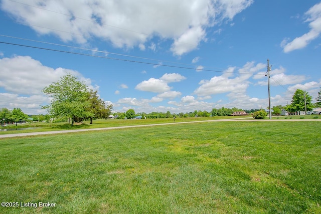 view of grassy yard