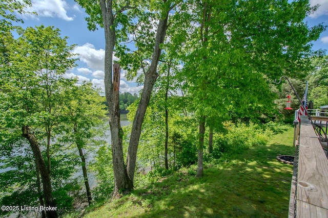 view of undeveloped land
