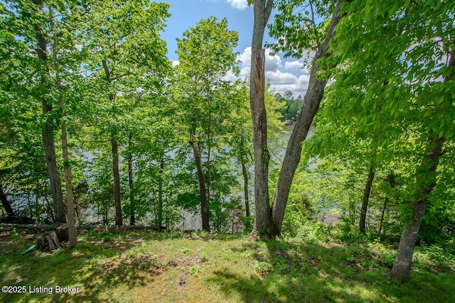 view of local wilderness