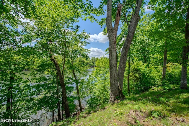 view of woods with a water view