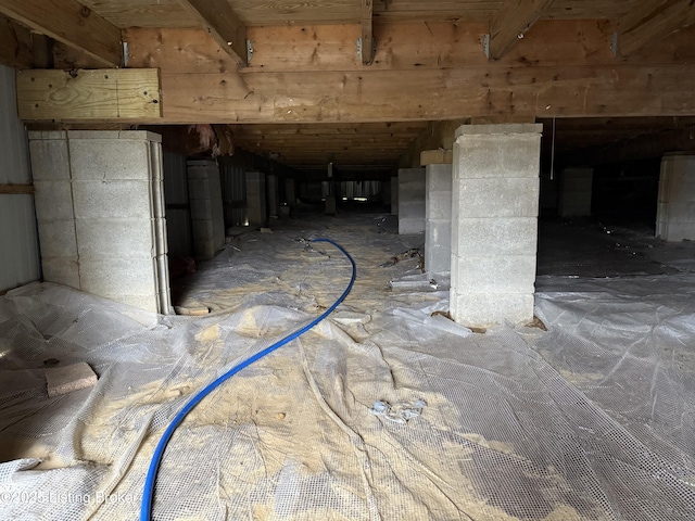 301 Coopers Point Rd, Leitchfield, KY 42754 - below grade area featuring crawl space
