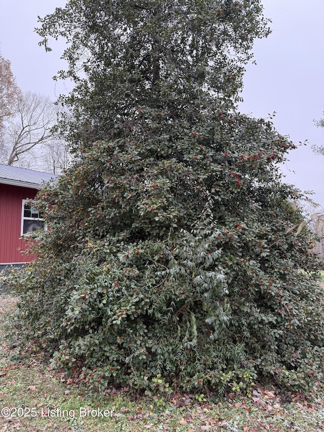 301 Coopers Point Rd, Leitchfield, KY 42754 - exterior space featuring board and batten siding