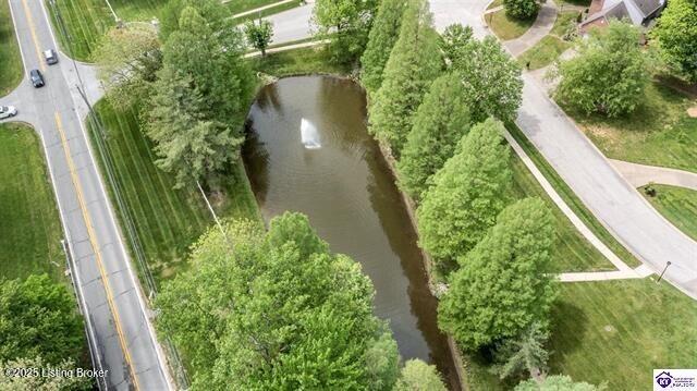 3507 Bridgegate Ct, Louisville, KY 40272 - aerial view of property and surrounding area with a large body of water