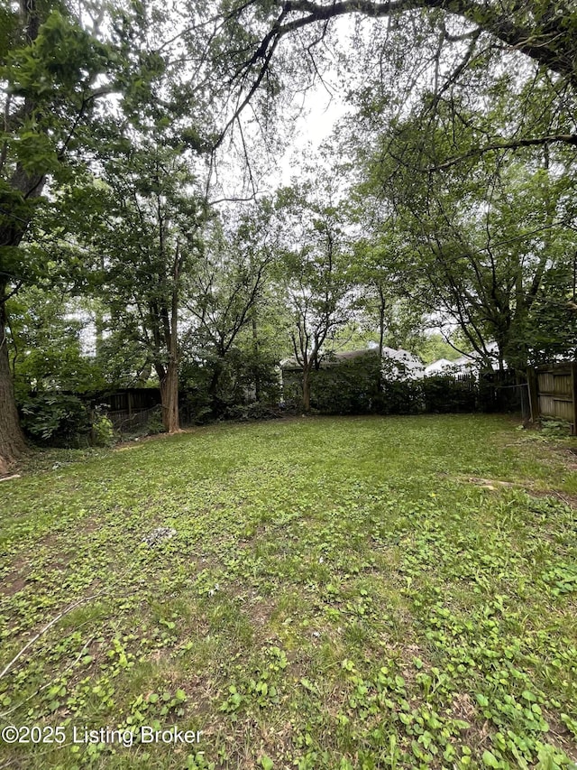 1148 Euclid Ave, Louisville, KY 40208 - photo 5