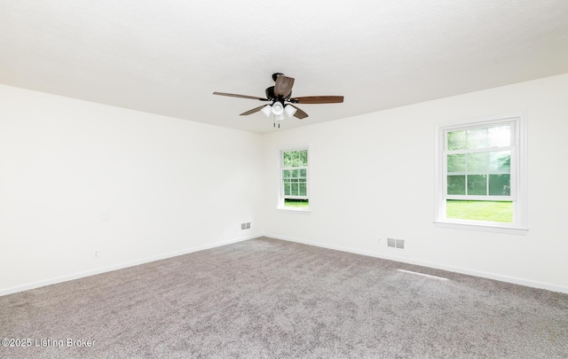 4002 Ciremos Ter, Louisville, KY 40241 - carpeted spare room featuring ceiling fan, healthy amount of natural light, and baseboards