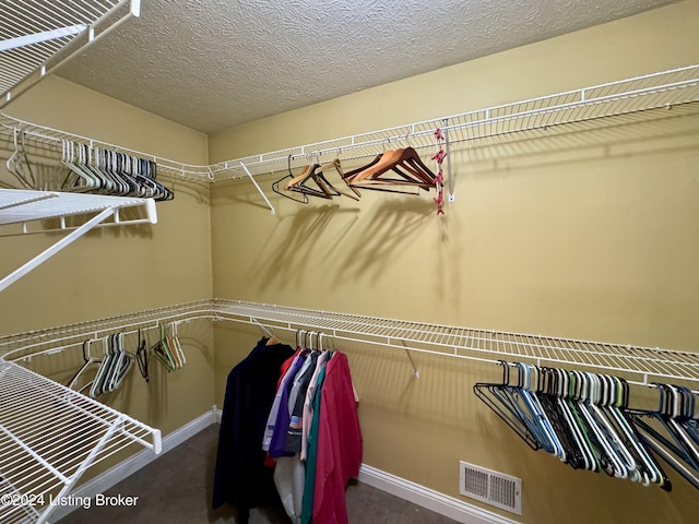 spacious closet featuring carpet flooring and visible vents