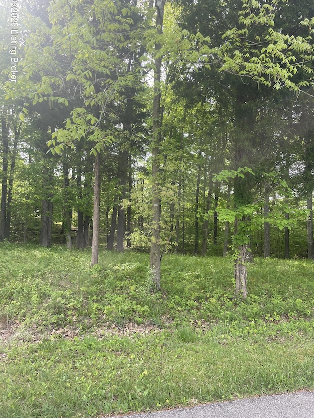 93 Holiday Way, Leitchfield, KY 42754