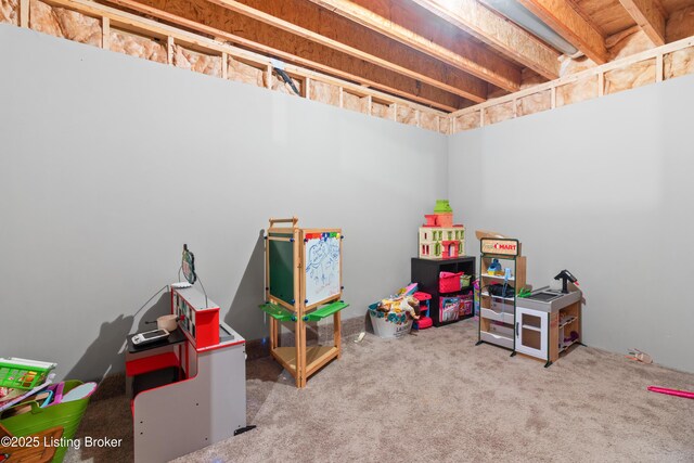playroom with carpet