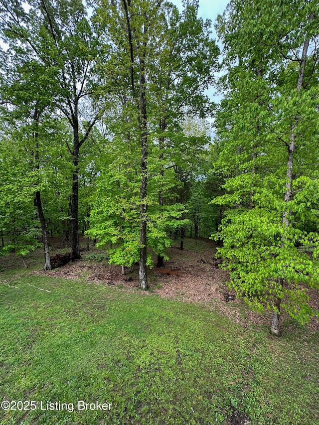 view of yard featuring a wooded view
