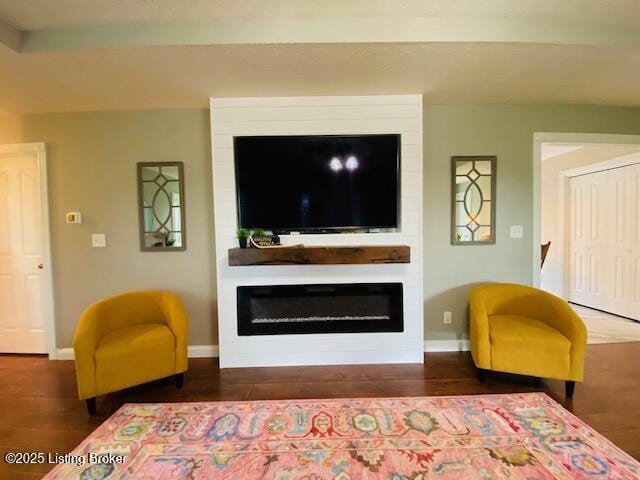 1300 Midway Ln, Springfield, KY 40069 - living room with baseboards, wood finished floors, and a fireplace