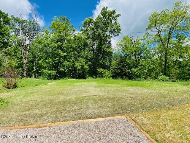 1300 Midway Ln, Springfield, KY 40069 - view of yard