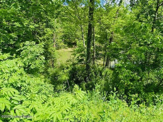1300 Midway Ln, Springfield, KY 40069 - view of undeveloped land