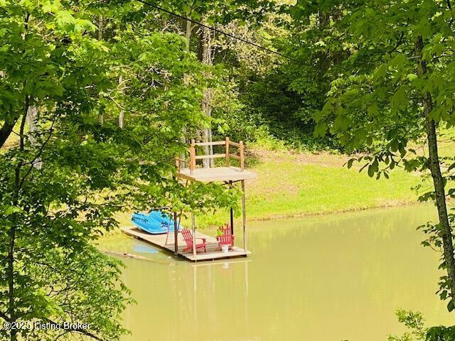 1300 Midway Ln, Springfield, KY 40069 - dock area with a water view