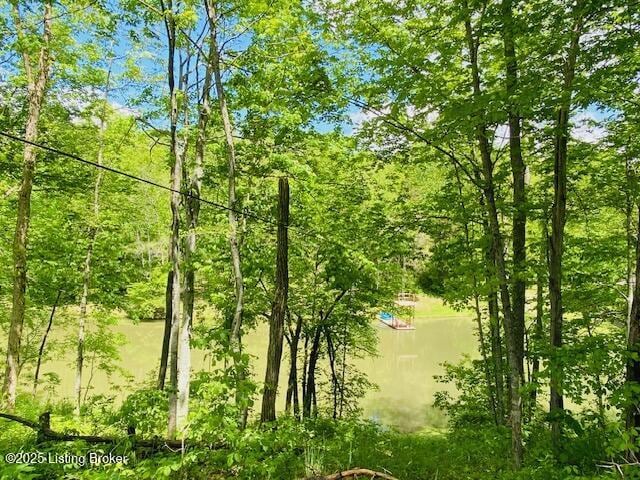 1300 Midway Ln, Springfield, KY 40069 - view of wooded area