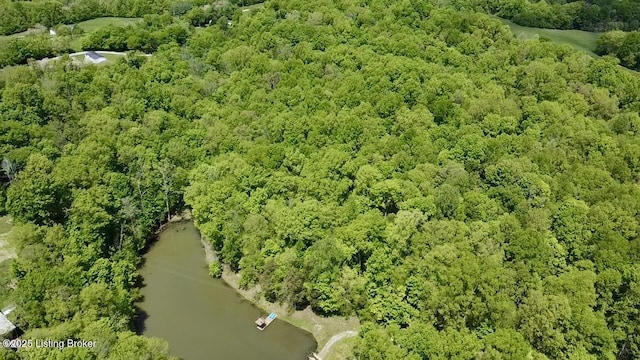 1300 Midway Ln, Springfield, KY 40069 - bird's eye view