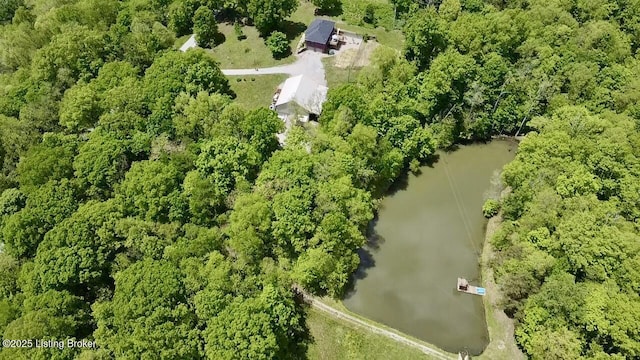 1300 Midway Ln, Springfield, KY 40069 - aerial overview of property's location with a large body of water