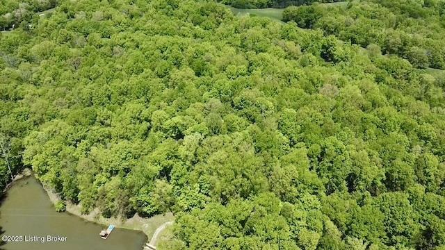 1300 Midway Ln, Springfield, KY 40069 - drone / aerial view
