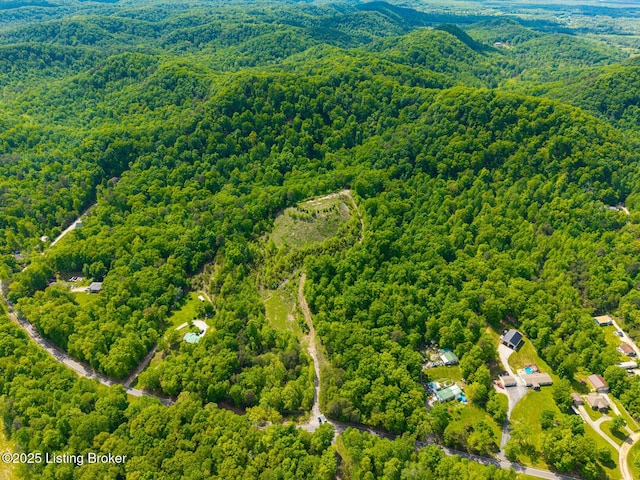 0 Horsefly Hollow Rd, Lebanon Junction, KY 40150 - photo 1