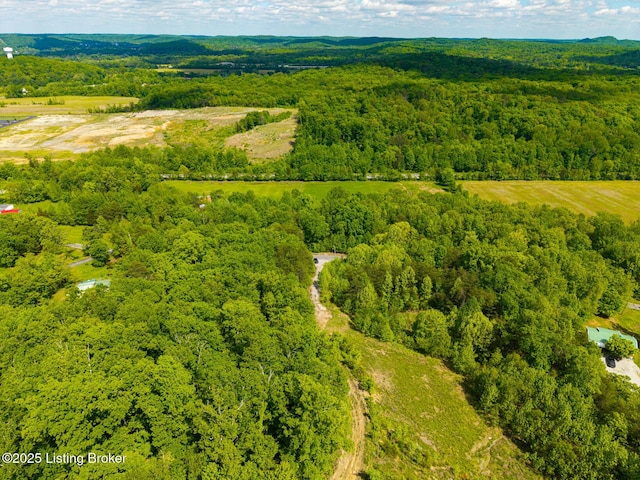 0 Horsefly Hollow Rd, Lebanon Junction, KY 40150 - photo 3