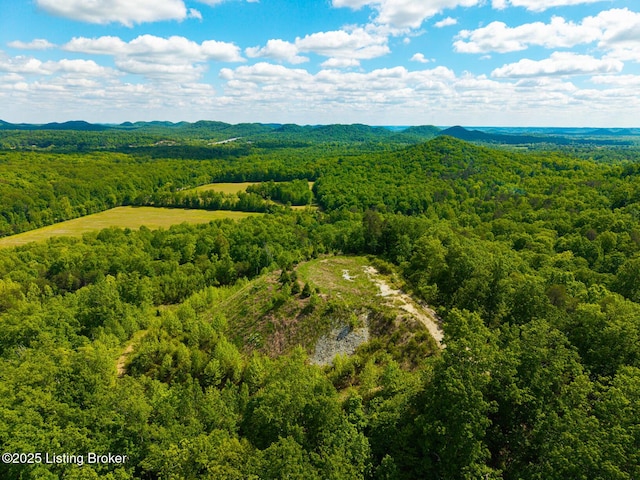 0 Horsefly Hollow Rd, Lebanon Junction, KY 40150 - photo 4