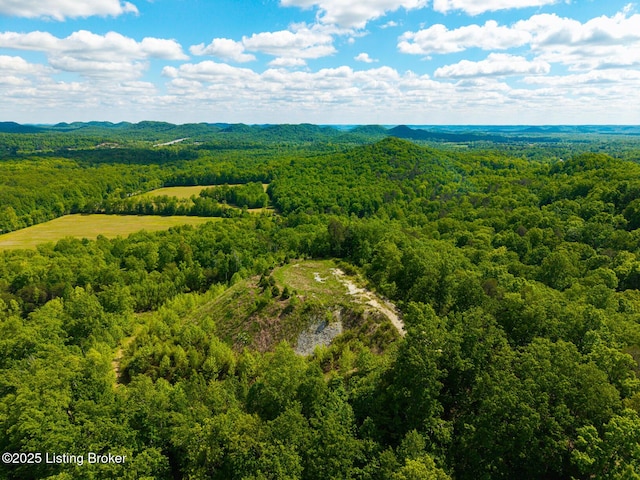 0 Horsefly Hollow Rd, Lebanon Junction, KY 40150 - photo 5