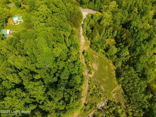 0 Horsefly Hollow Rd, Lebanon Junction, KY 40150 - photo 6