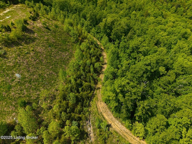 0 Horsefly Hollow Rd, Lebanon Junction, KY 40150 - photo 7