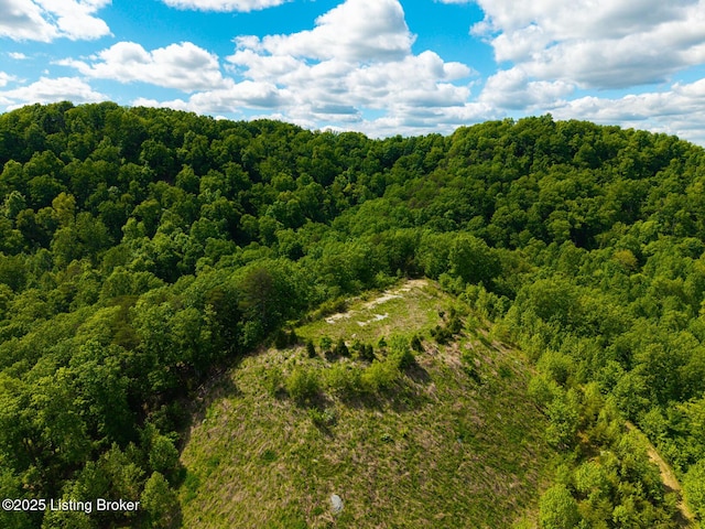 0 Horsefly Hollow Rd, Lebanon Junction, KY 40150 - photo 8