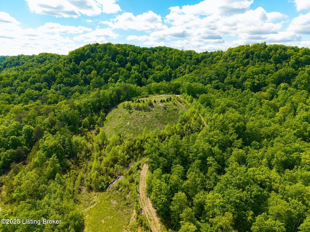 0 Horsefly Hollow Rd, Lebanon Junction, KY 40150 - photo 9