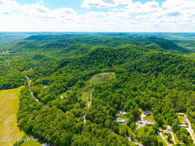 0 Horsefly Hollow Rd, Lebanon Junction, KY 40150 - photo 10