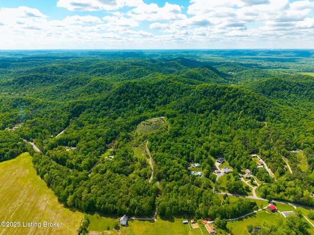 0 Horsefly Hollow Rd, Lebanon Junction, KY 40150 - photo 11