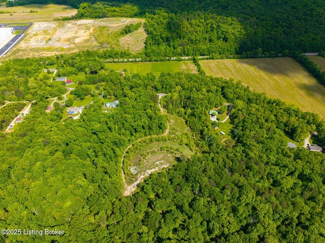 0 Horsefly Hollow Rd, Lebanon Junction, KY 40150 - photo 12