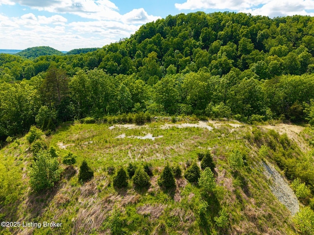 0 Horsefly Hollow Rd, Lebanon Junction, KY 40150 - photo 13