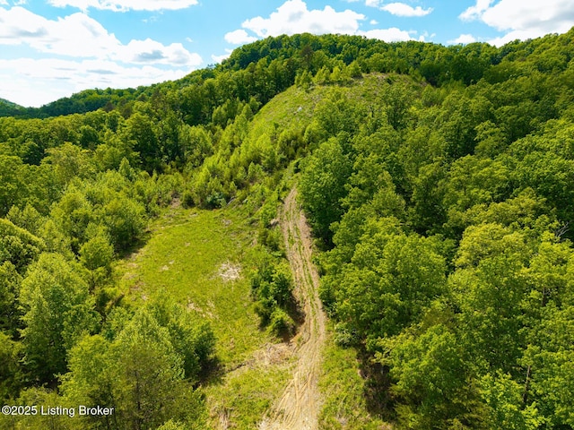 0 Horsefly Hollow Rd, Lebanon Junction, KY 40150 - photo 14