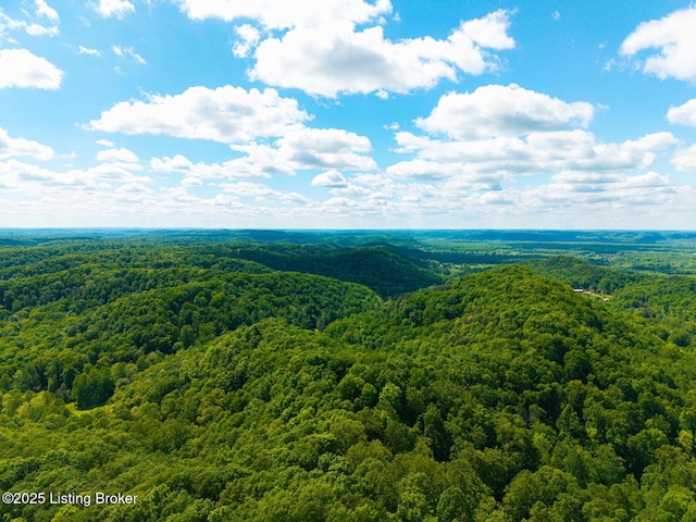 0 Horsefly Hollow Rd, Lebanon Junction, KY 40150 - photo 16