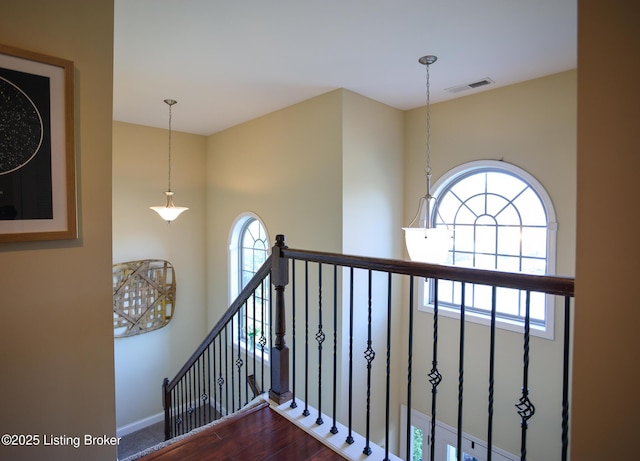 803 Urton Woods Way, Louisville, KY 40243 - stairs with baseboards and wood finished floors
