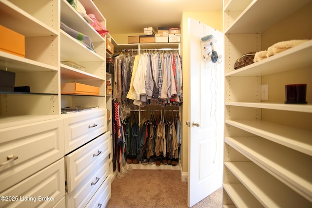 803 Urton Woods Way, Louisville, KY 40243 - walk in closet featuring light carpet