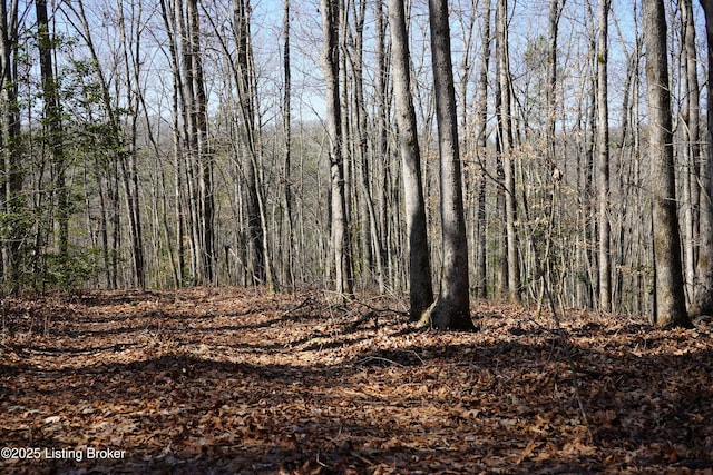 0 River Rd, Williamsburg, KY 40769