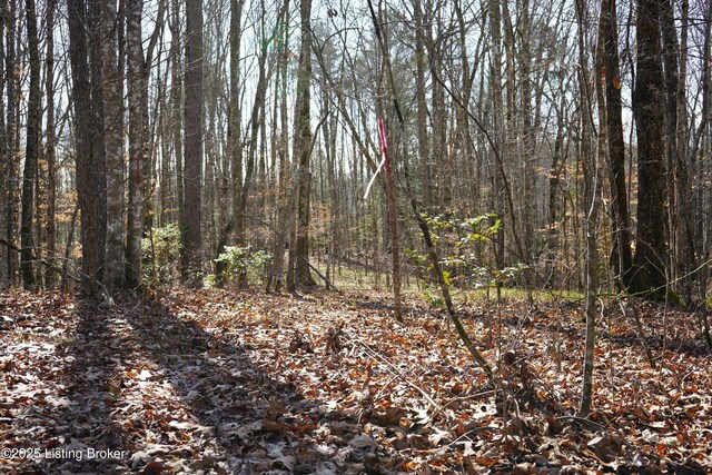 0 River Rd, Williamsburg, KY 40769