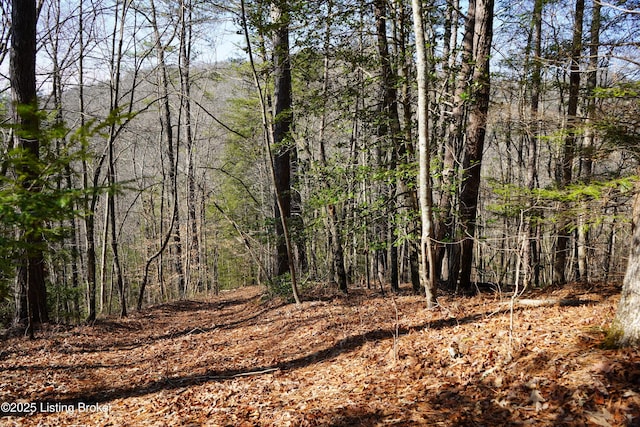 0 River Rd, Williamsburg, KY 40769