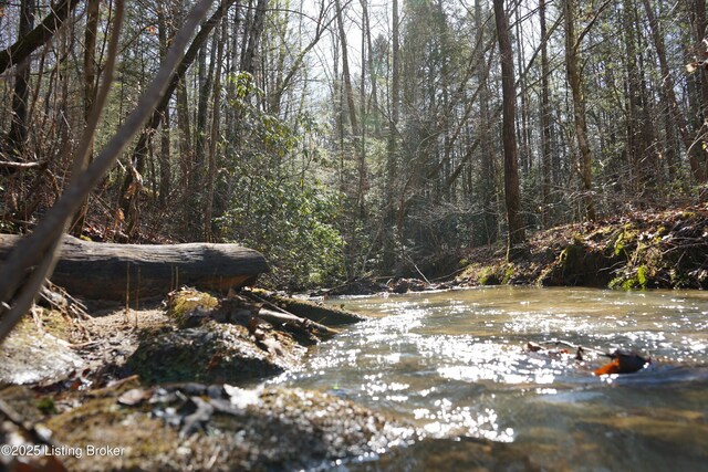0 River Rd, Williamsburg, KY 40769