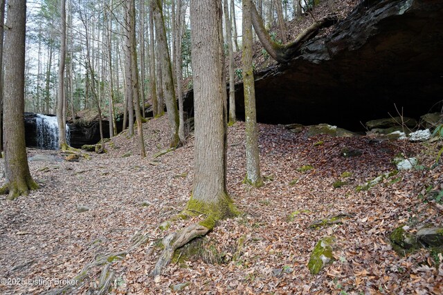 0 River Rd, Williamsburg, KY 40769
