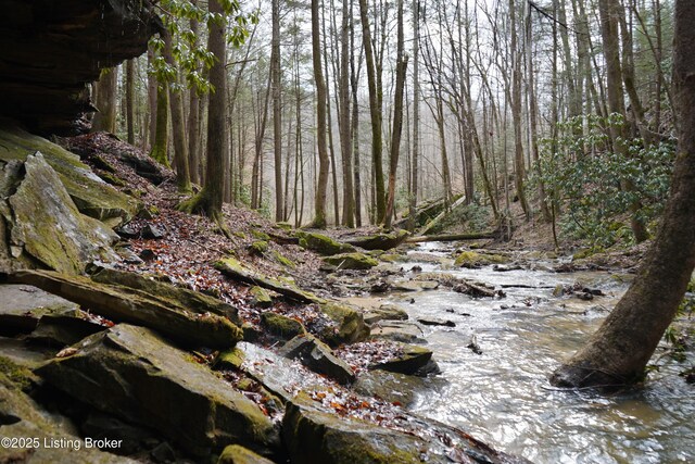 0 River Rd, Williamsburg, KY 40769