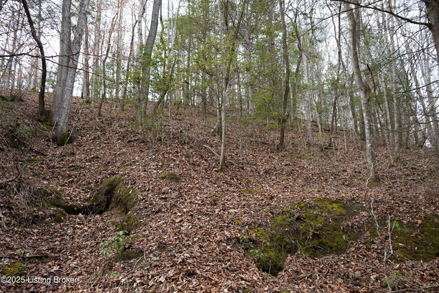 0 River Rd, Williamsburg, KY 40769