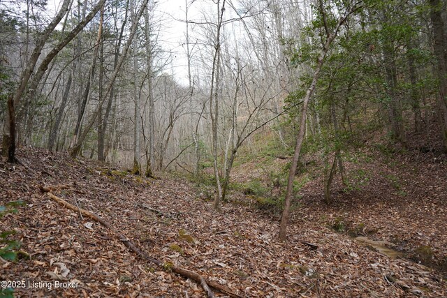 0 River Rd, Williamsburg, KY 40769
