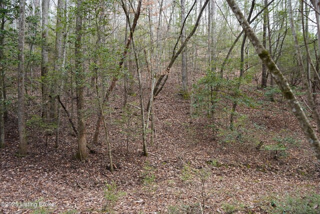 0 River Rd, Williamsburg, KY 40769