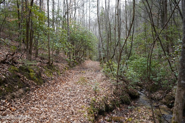 0 River Rd, Williamsburg, KY 40769