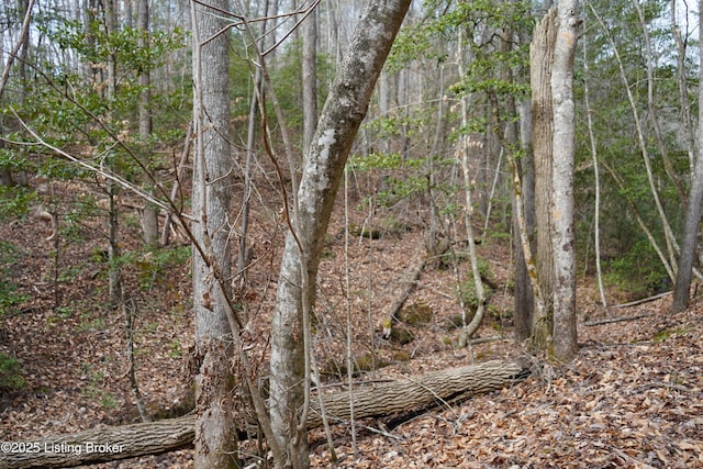 0 River Rd, Williamsburg, KY 40769