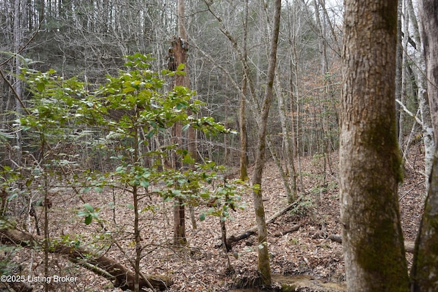 0 River Rd, Williamsburg, KY 40769